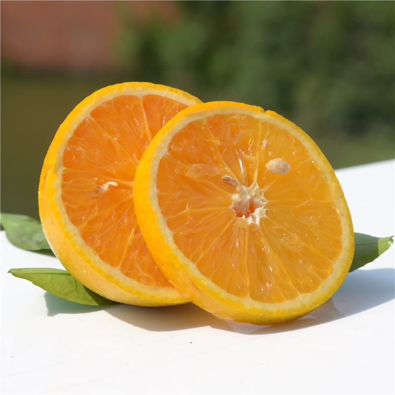 當(dāng)季水果/水果采購(gòu)