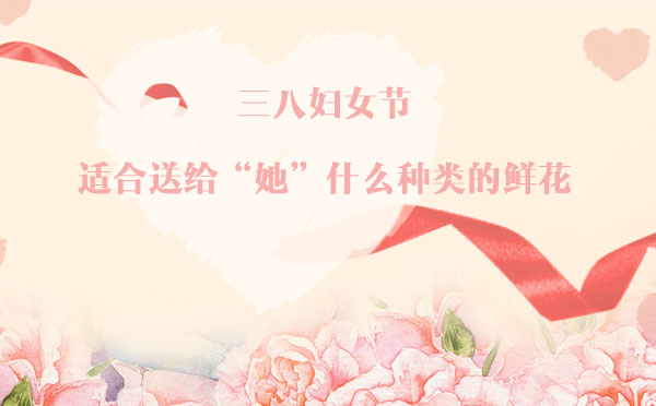 三八婦女節(jié),適合送給“她”什么種類的鮮花? 三八婦女節(jié),適合送給“她”什么種類的鮮花?